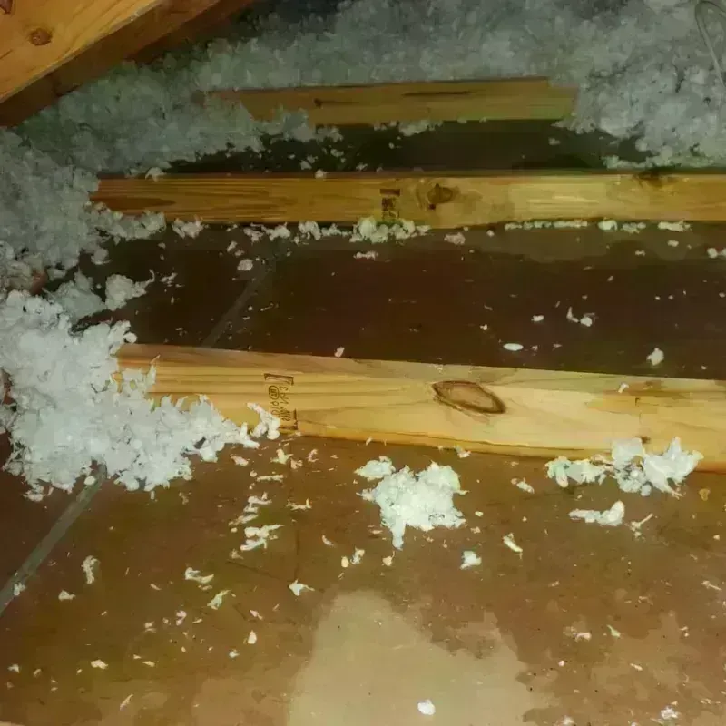 Attic Water Damage in Mountain Park, GA