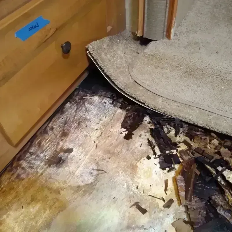 Wood Floor Water Damage in Mountain Park, GA